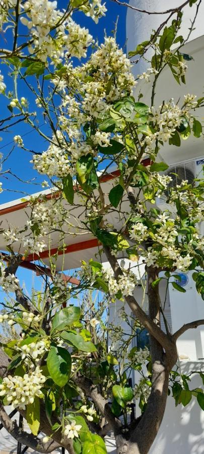Silvi Mari Apartments Platanes (Rethymno) Exterior foto